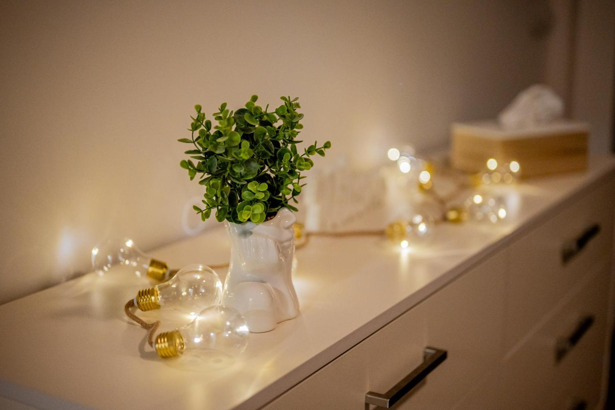 Old Town City Center Apartment 1 - Private Parking Included โกชิเซ ภายนอก รูปภาพ